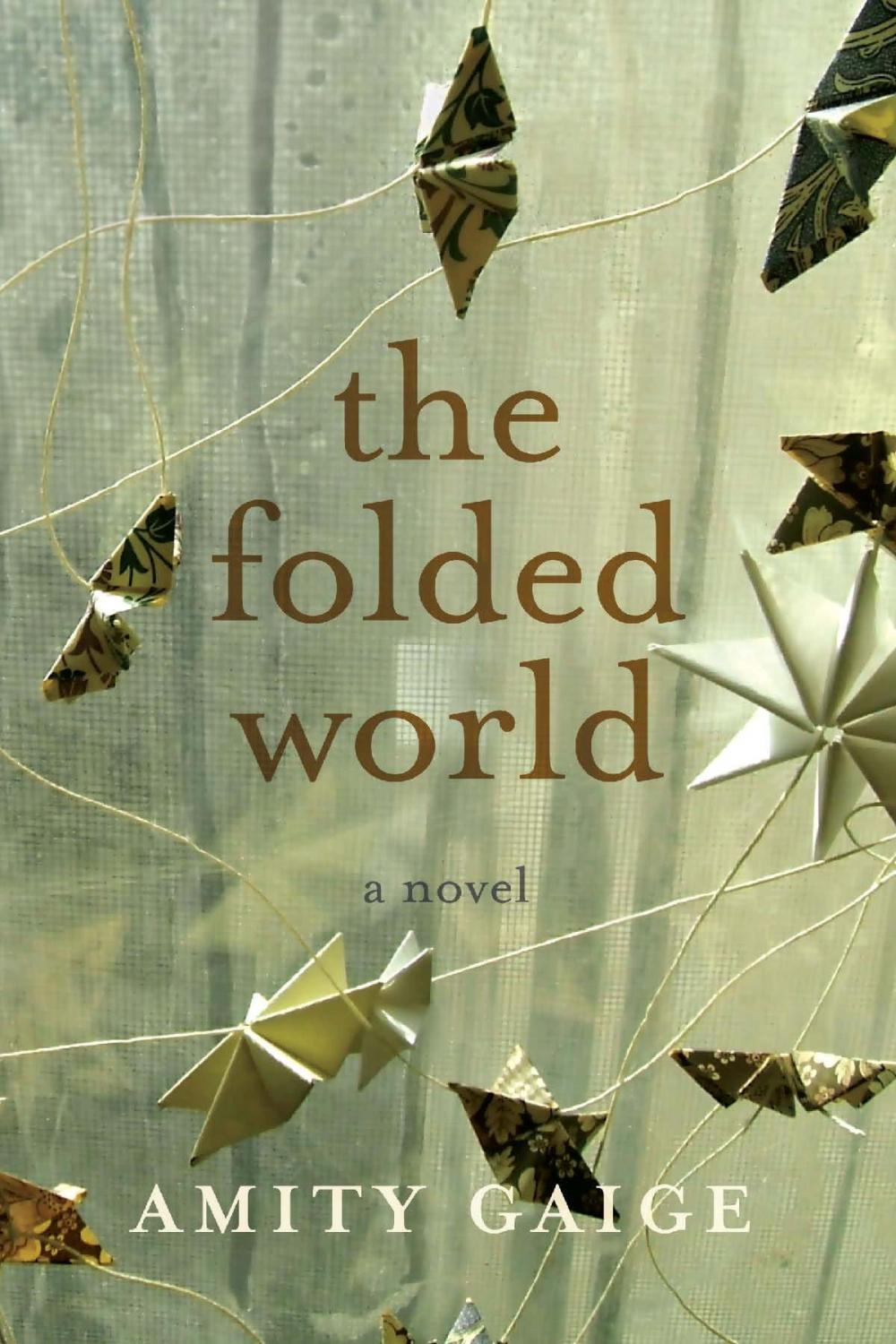 Big bigCover of The Folded World