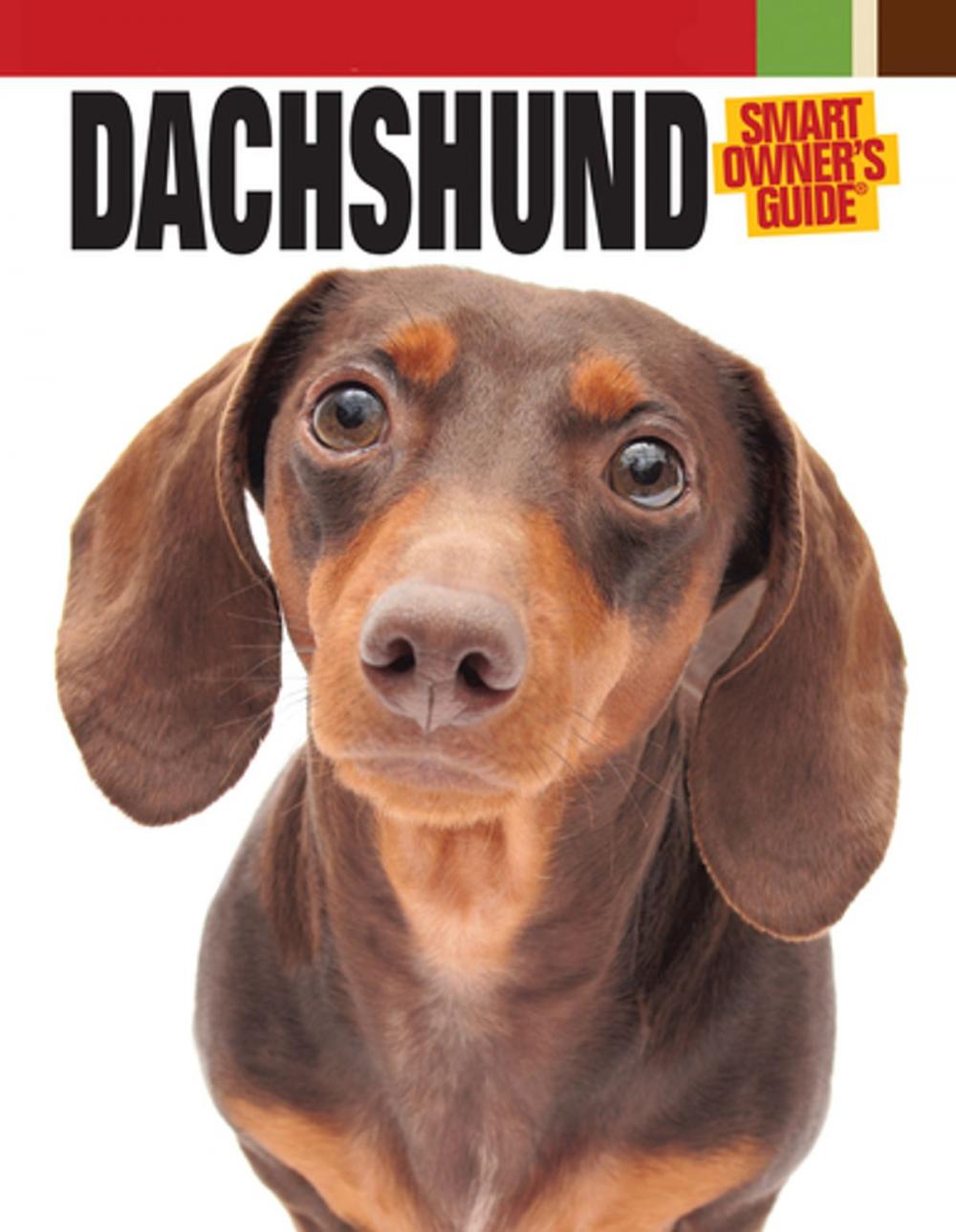 Big bigCover of Dachshund