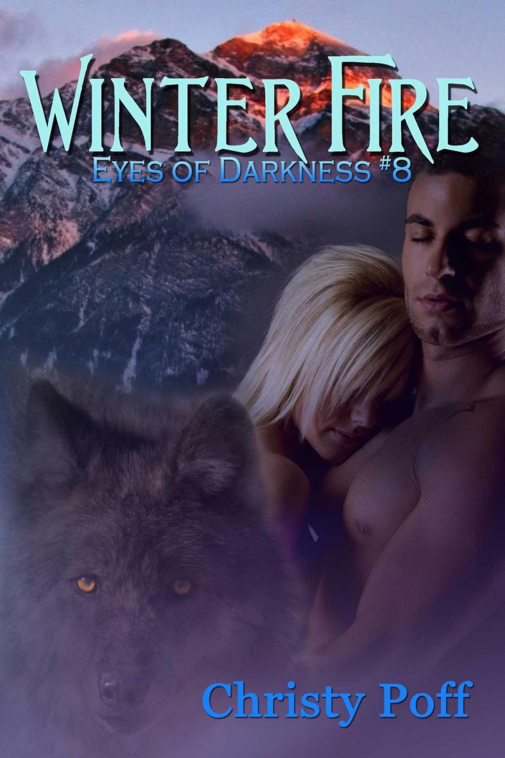 Big bigCover of Winter Fire