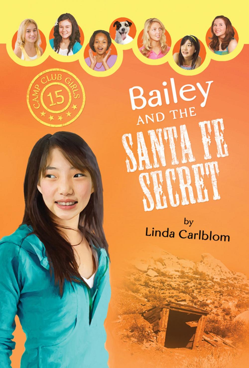 Big bigCover of Bailey and the Santa Fe Secret