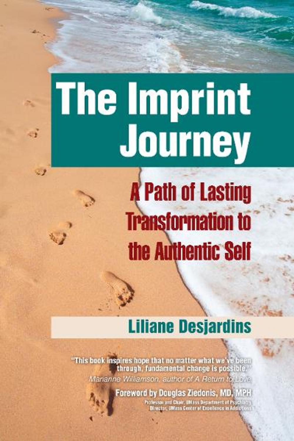 Big bigCover of The Imprint Journey