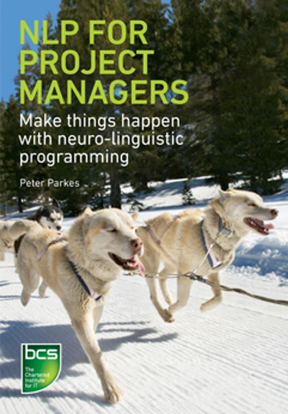 Big bigCover of NLP for Project Managers