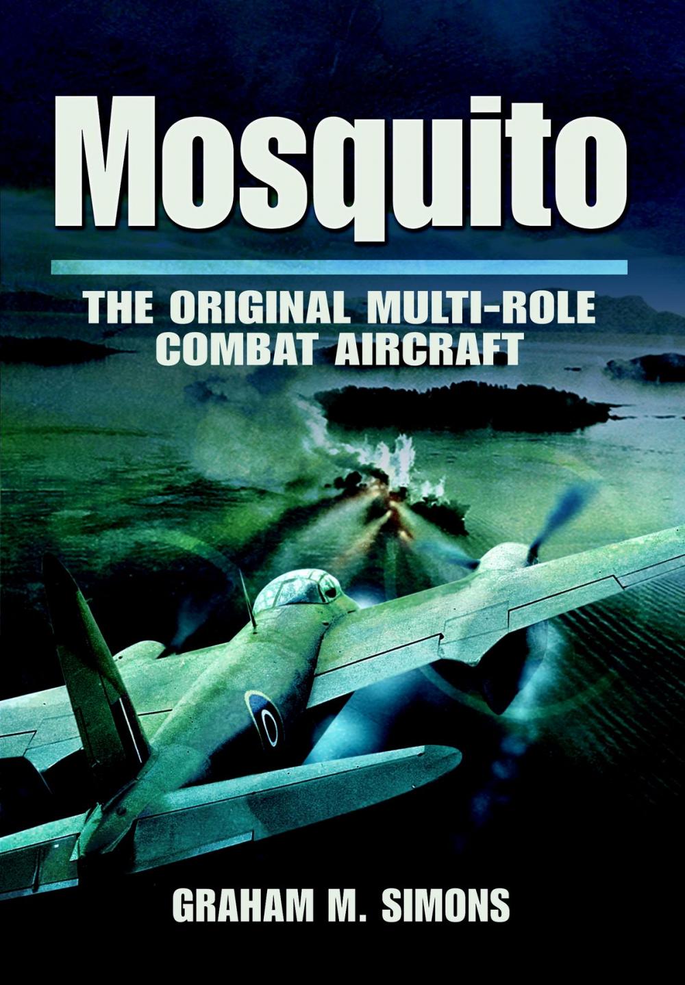 Big bigCover of Mosquito