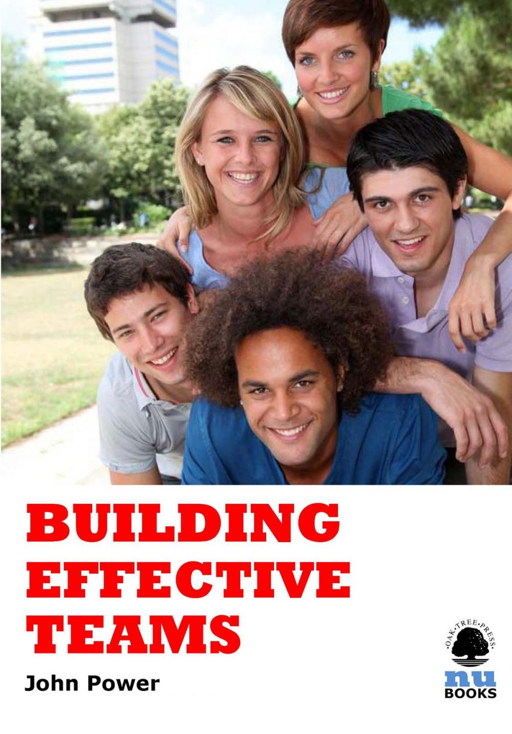 Big bigCover of Building Effective Teams