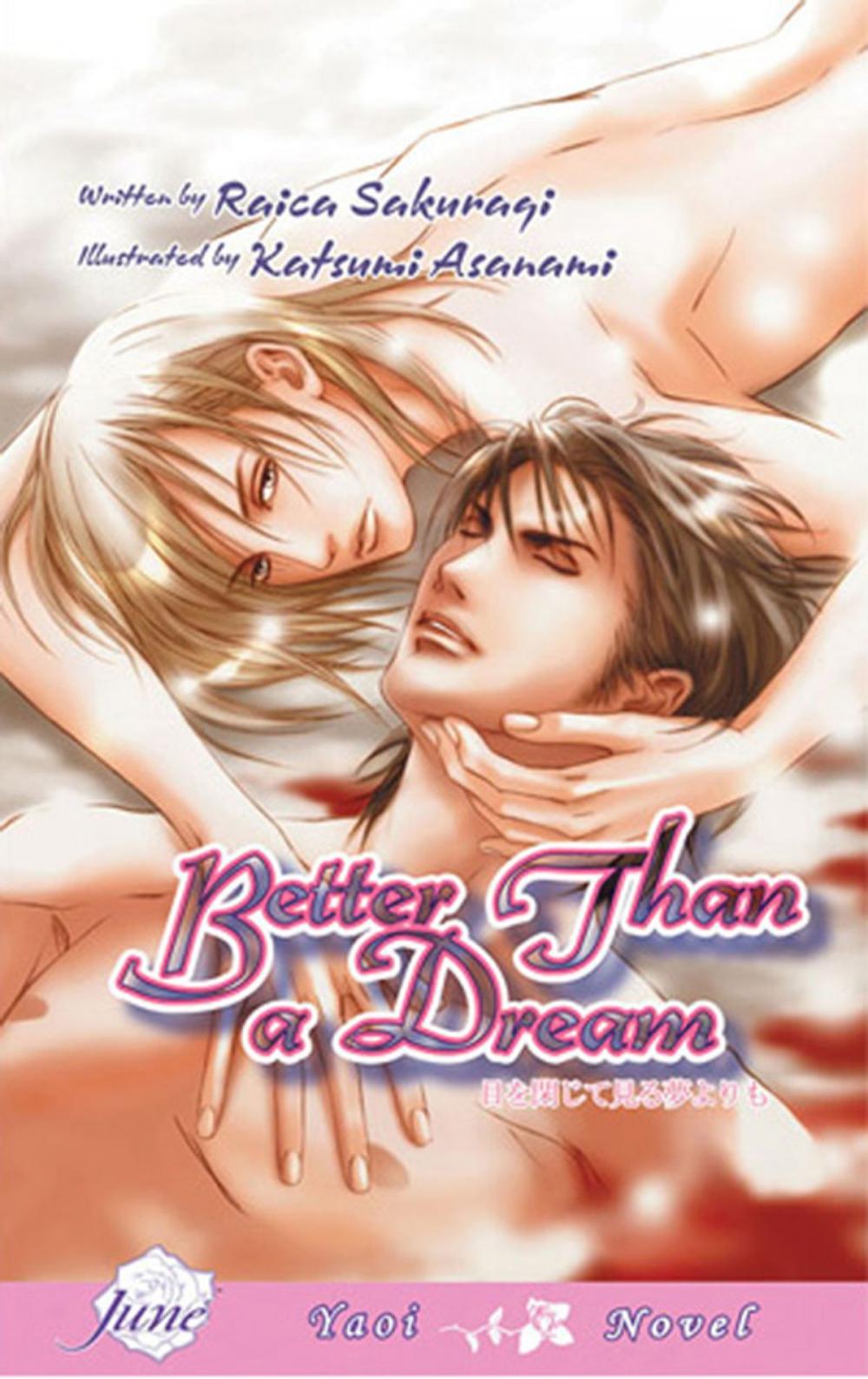 Big bigCover of Better Than a Dream (Yaoi novel)