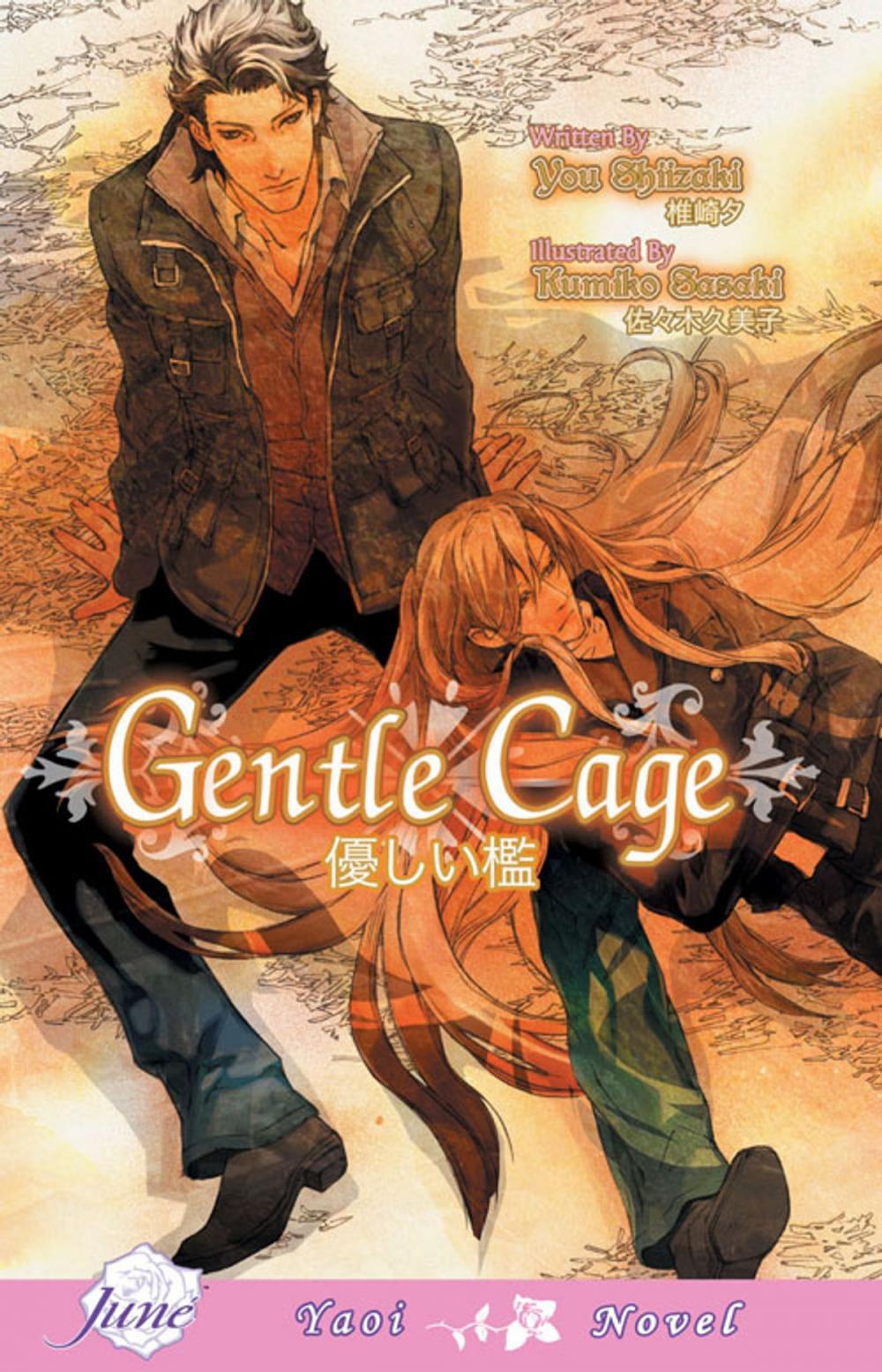 Big bigCover of Gentle Cage