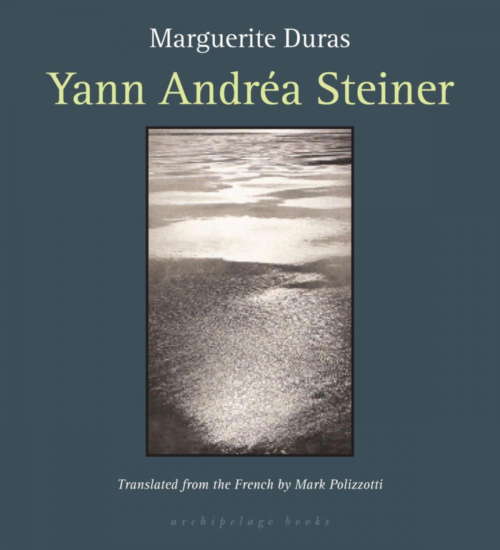 Big bigCover of Yann Andrea Steiner