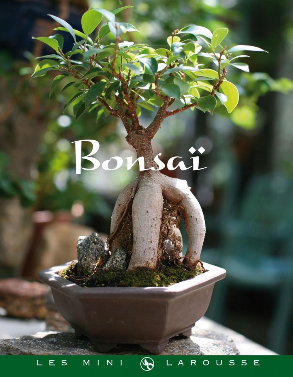 Big bigCover of Bonsaï