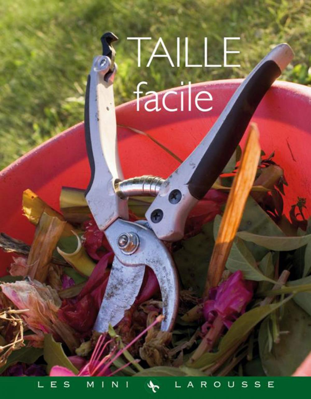 Big bigCover of Taille facile