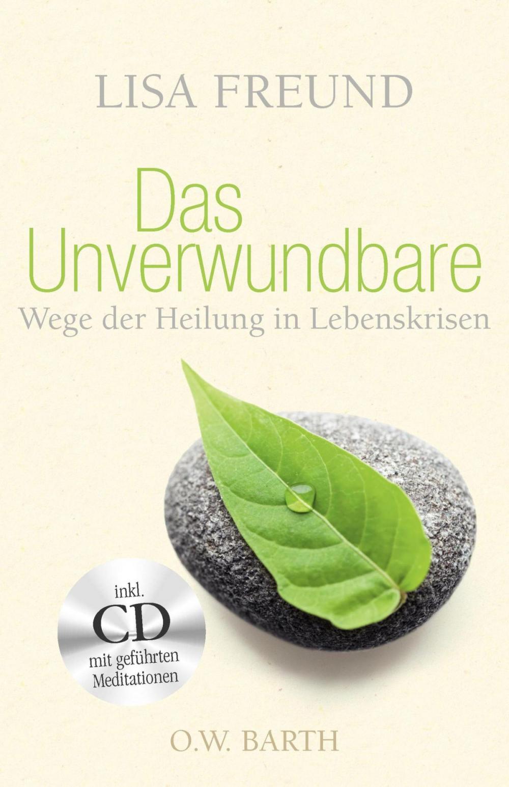 Big bigCover of Das Unverwundbare