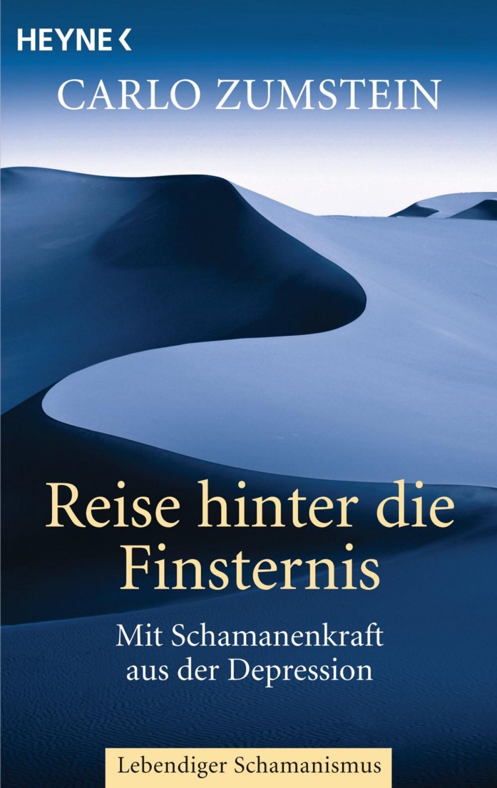 Big bigCover of Reise hinter die Finsternis