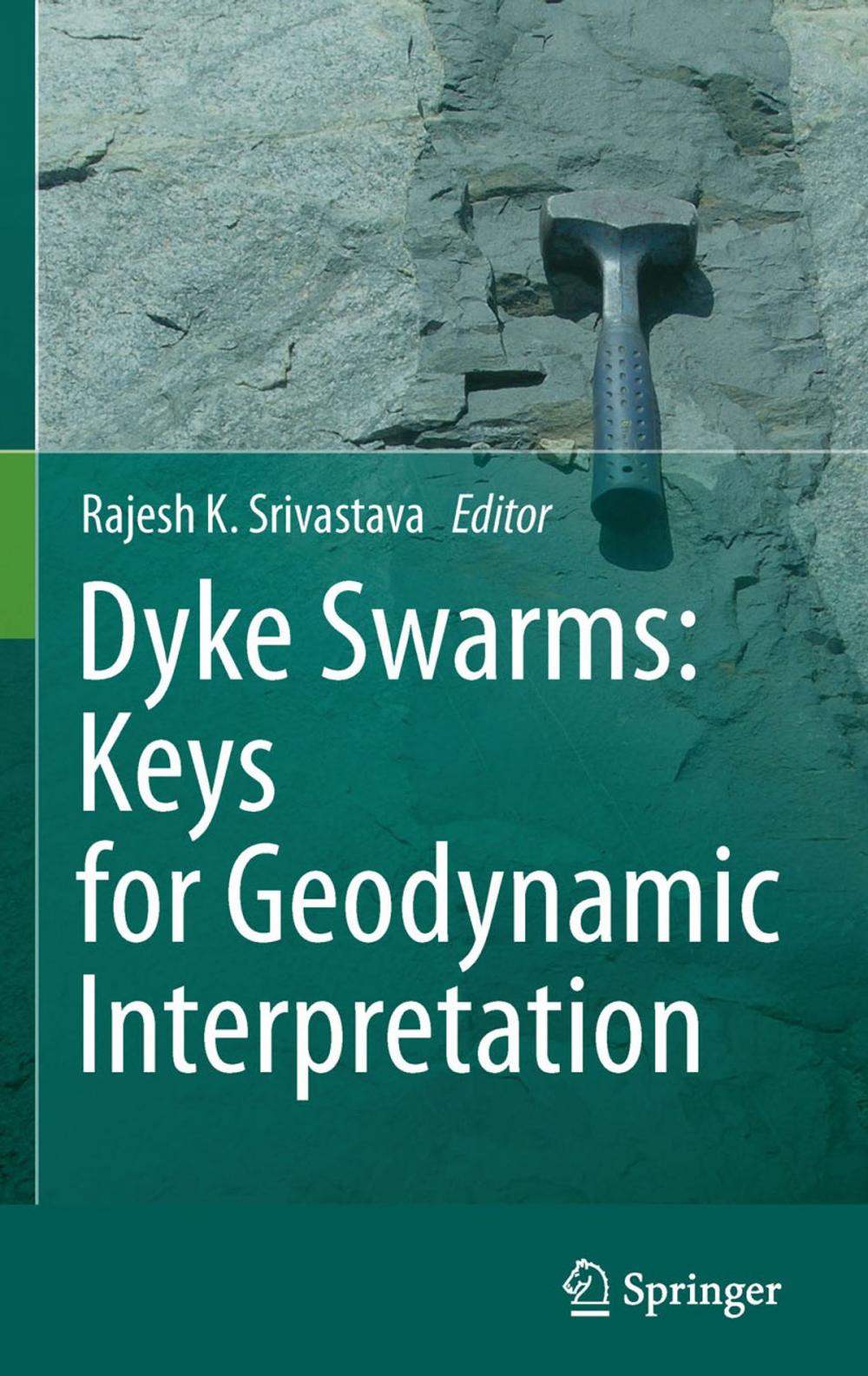 Big bigCover of Dyke Swarms: Keys for Geodynamic Interpretation