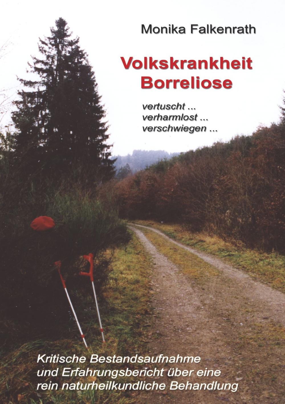 Big bigCover of Volkskrankheit Borreliose