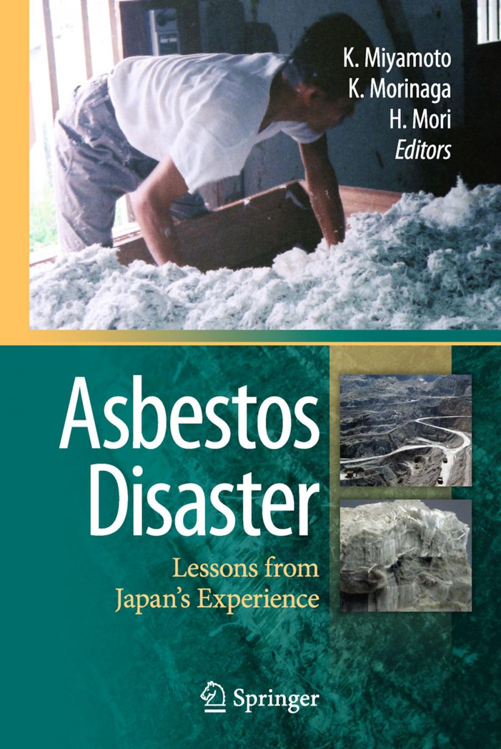 Big bigCover of Asbestos Disaster