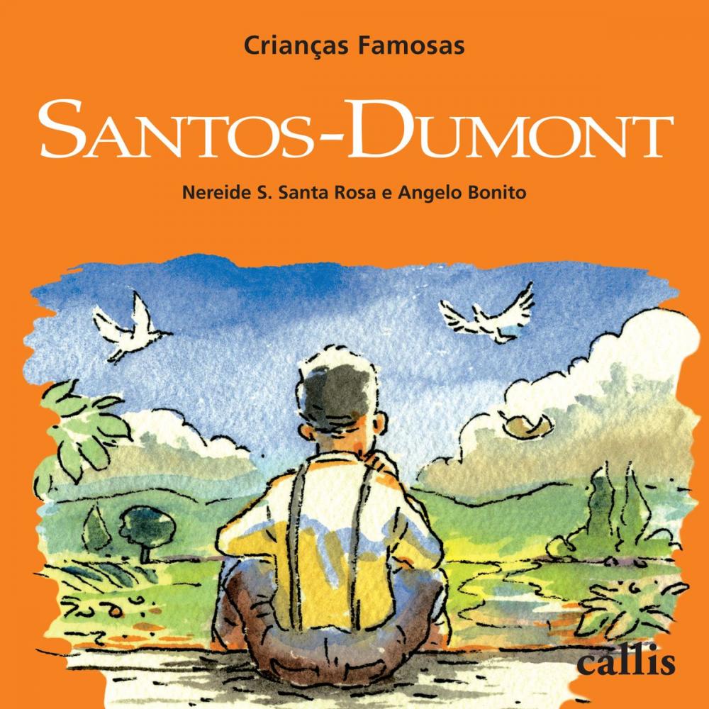 Big bigCover of Santos-Dumont