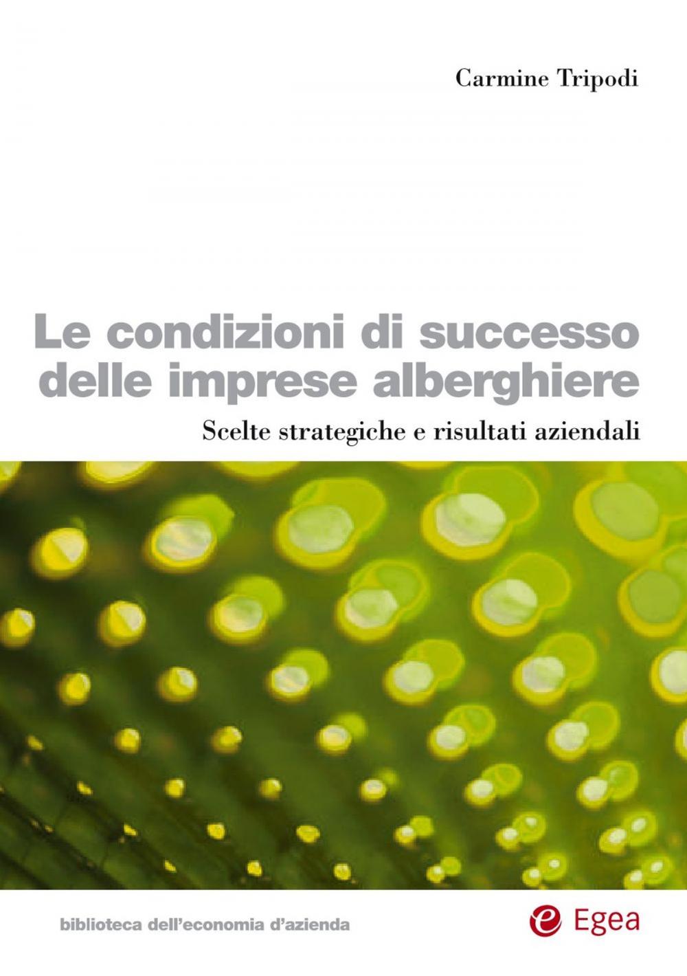 Big bigCover of Le condizioni di successo delle imprese alberghiere