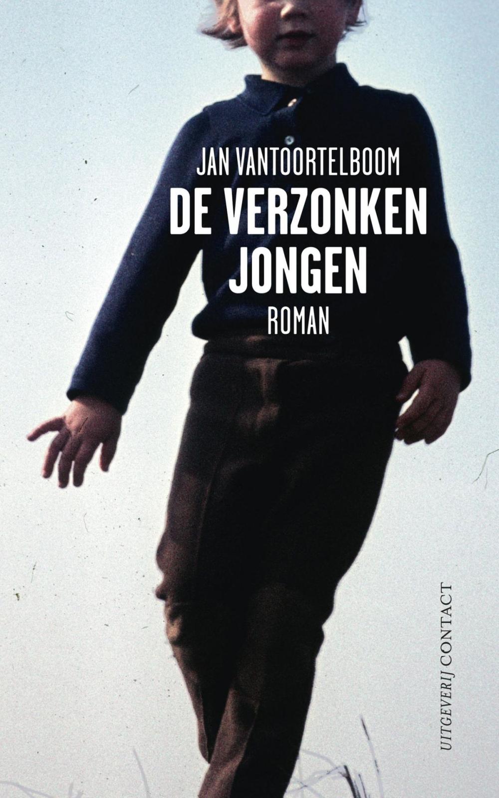 Big bigCover of De verzonken jongen