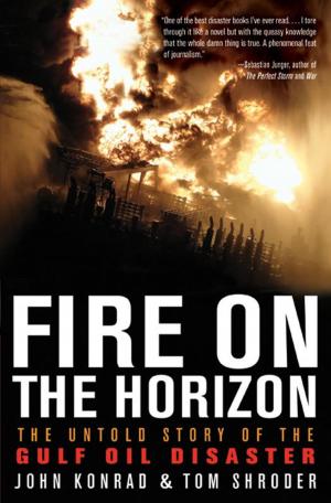 Cover of the book Fire on the Horizon by Michael Crichton