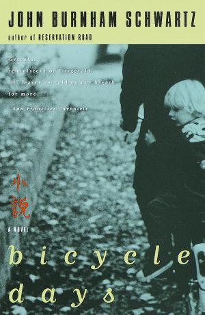 Cover of the book Bicycle Days by Jason Lebowitz