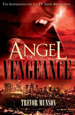 Cover of the book Angel of Vengeance by Kash Gyanni