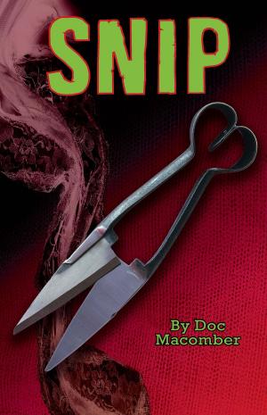 Book cover of Snip