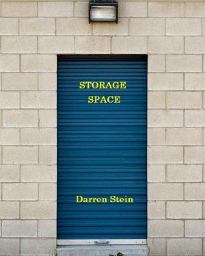 Cover of Storage Space: A Collection Of Contemporary Poetry