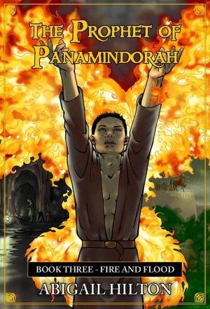 Book cover of The Prophet of Panamindorah, Book 3 Fire and Flood