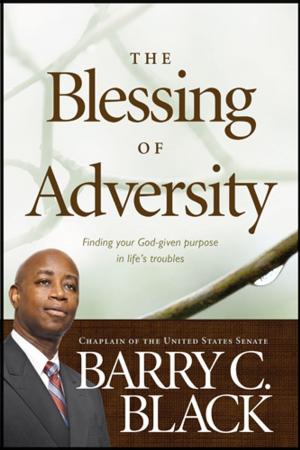 Cover of the book The Blessing of Adversity by Happy Zhou