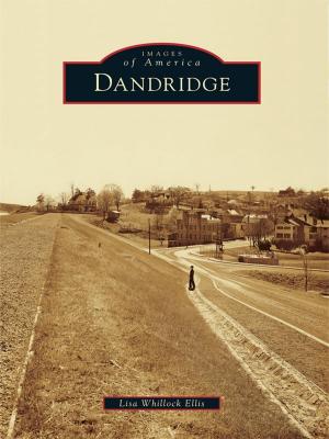 Cover of the book Dandridge by Derek Saffie