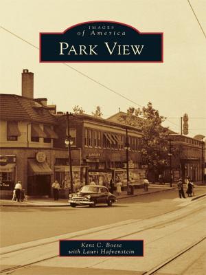 Cover of the book Park View by Larry Widen