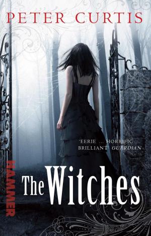 Cover of the book The Witches by James W. Henley IV