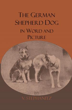 Cover of the book The German Shepherd Dog In Word And Picture by 