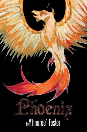 Cover of the book Phoenix by J.P.Verbeke