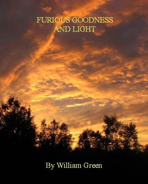 Cover of the book Furious Goodness and Light by Matthew Watson