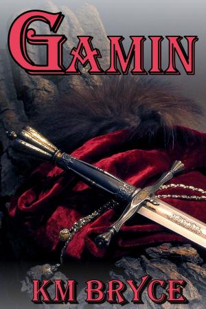 Book cover of Gamin