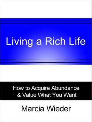 Cover of the book Living a Rich Life by Annette Comer