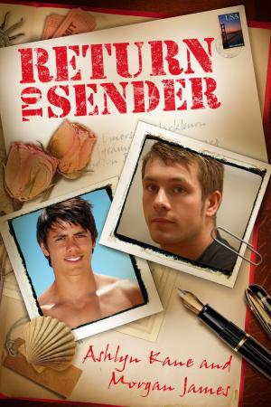 Cover of the book Return to Sender by Sue Brown