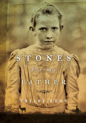 Cover of the book Stones for My Father by Shane Peacock