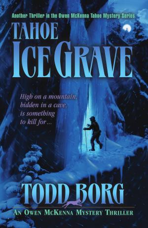 Cover of the book Tahoe Ice Grave by Jim DeFilippi