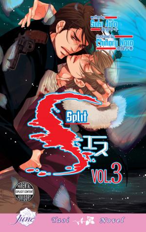 Cover of the book S Vol. 3: Split by Hideyuki Kikuchi, Jun Suemi
