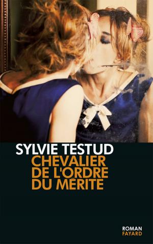 Cover of the book Chevalier de l'ordre du mérite by Vincent Nouzille, Hélène Constanty