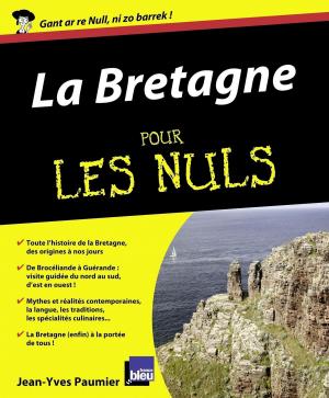 Cover of the book La Bretagne Pour les nuls by Colombe LINOTTE