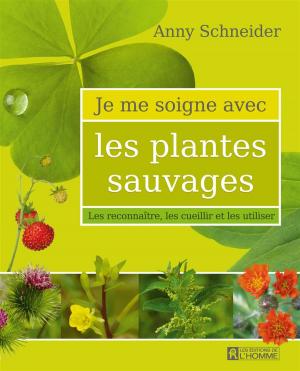 Cover of the book Je me soigne avec les plantes sauvages by Brigitte Durruty, Catherine Schwennicke