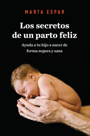 Cover of the book Los secretos de un parto feliz by Gonzalo Fanjul Suarez, Marc Grañó