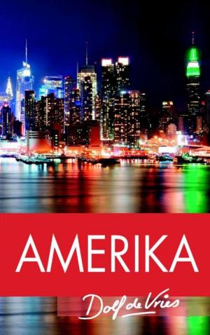 Cover of the book Amerika by Sarah Moore Fitzgerald