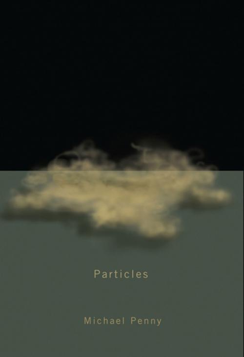 Cover of the book Particles by Michael Penny, MQUP