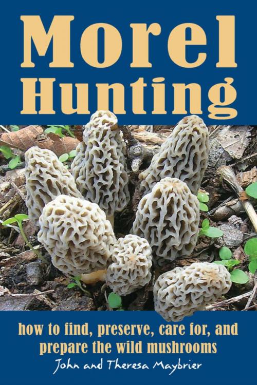 Cover of the book Morel Hunting by John Maybrier, Theresa Maybrier, Stackpole Books