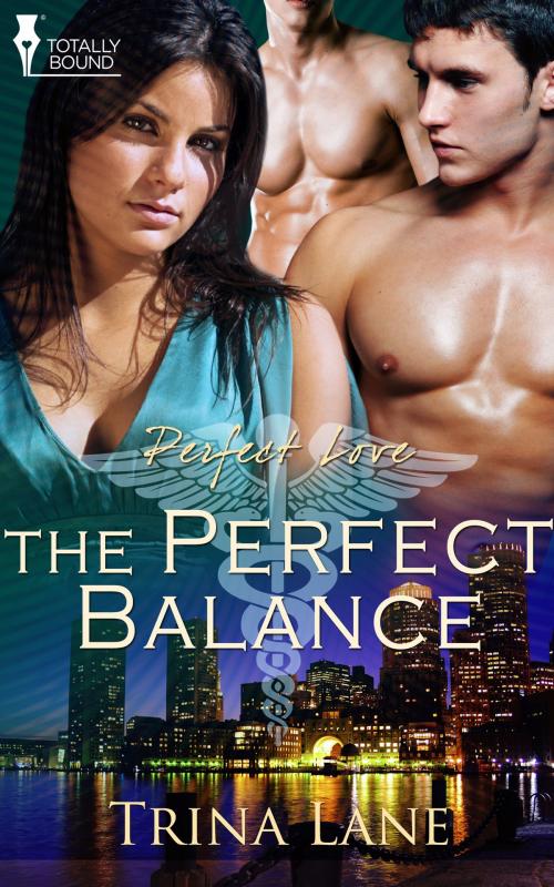 Cover of the book The Perfect Balance by Trina Lane, Totally Entwined Group Ltd