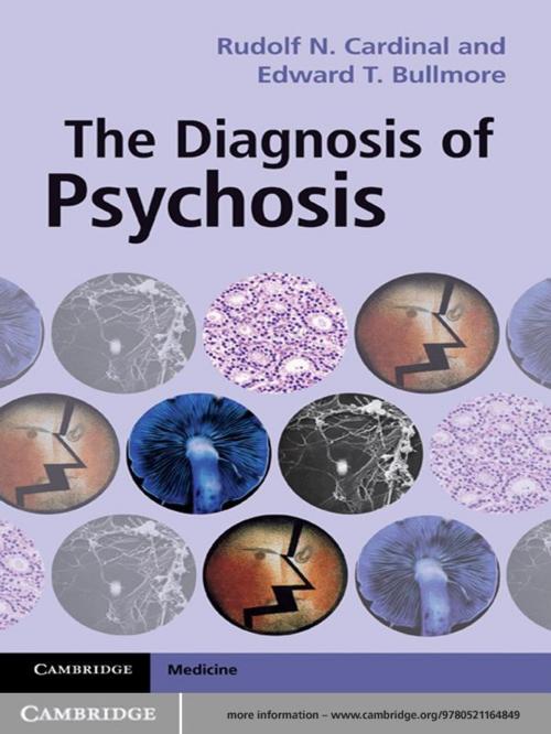 Cover of the book The Diagnosis of Psychosis by Rudolf N. Cardinal, Edward T. Bullmore, Cambridge University Press