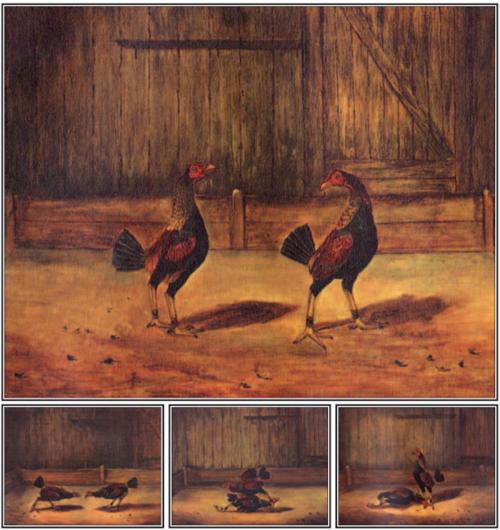 Cover of the book The Breeding and Management of Fighting Cocks by Everard Simpson, Read Books Ltd.